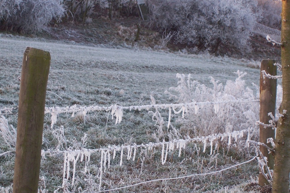 Raureif die Kunst der Natur