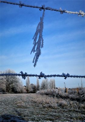 Raureif im Dezember 2022 - Abhängen am Stacheldraht