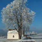 Raureif im Mühlviertel..