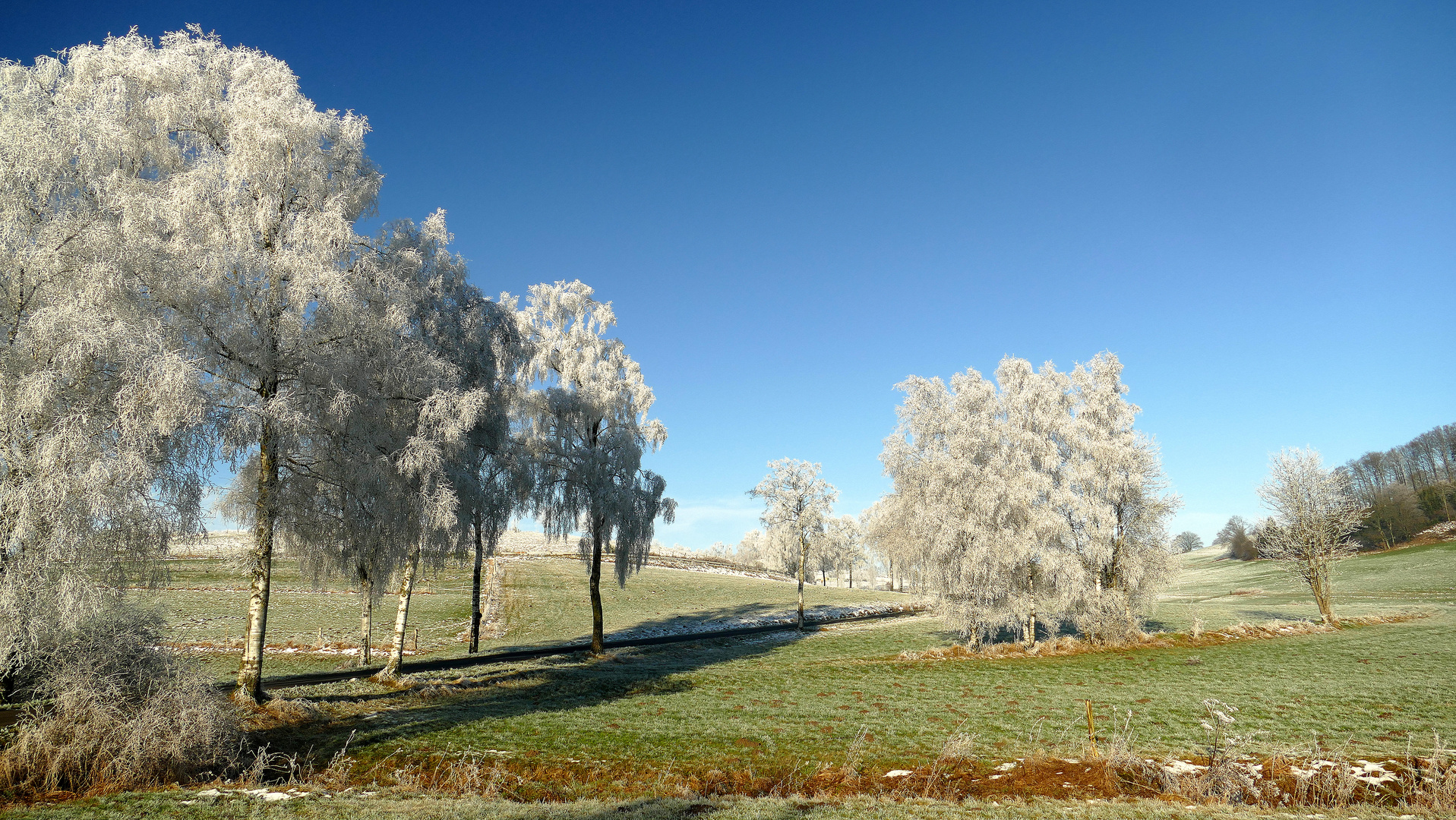 " Raureif im Sauerland "