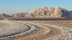 Raureif-Impression