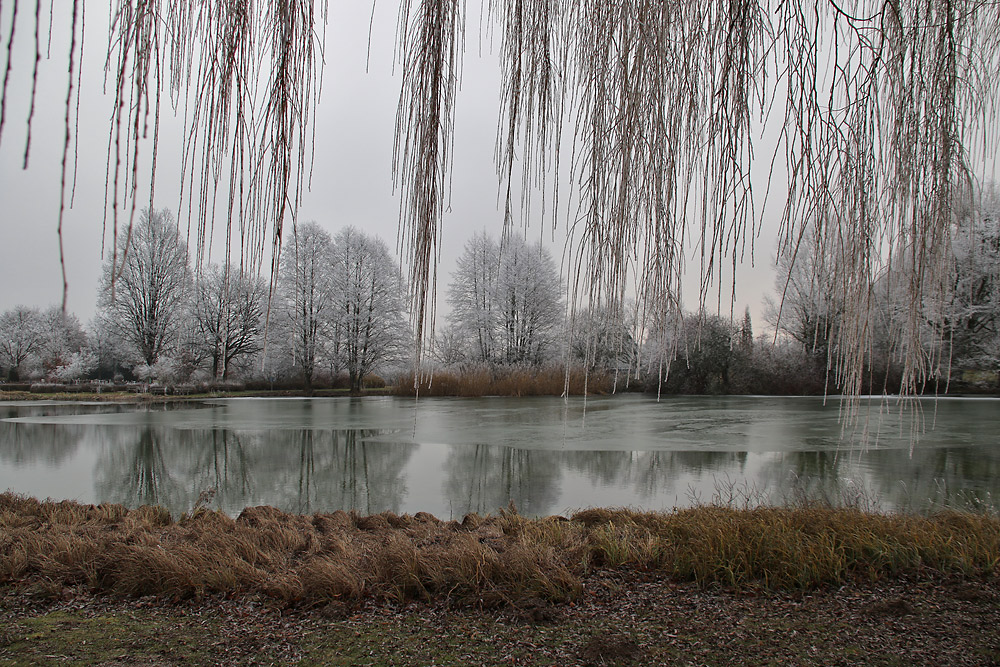 Raureif-Impression vom Weiher