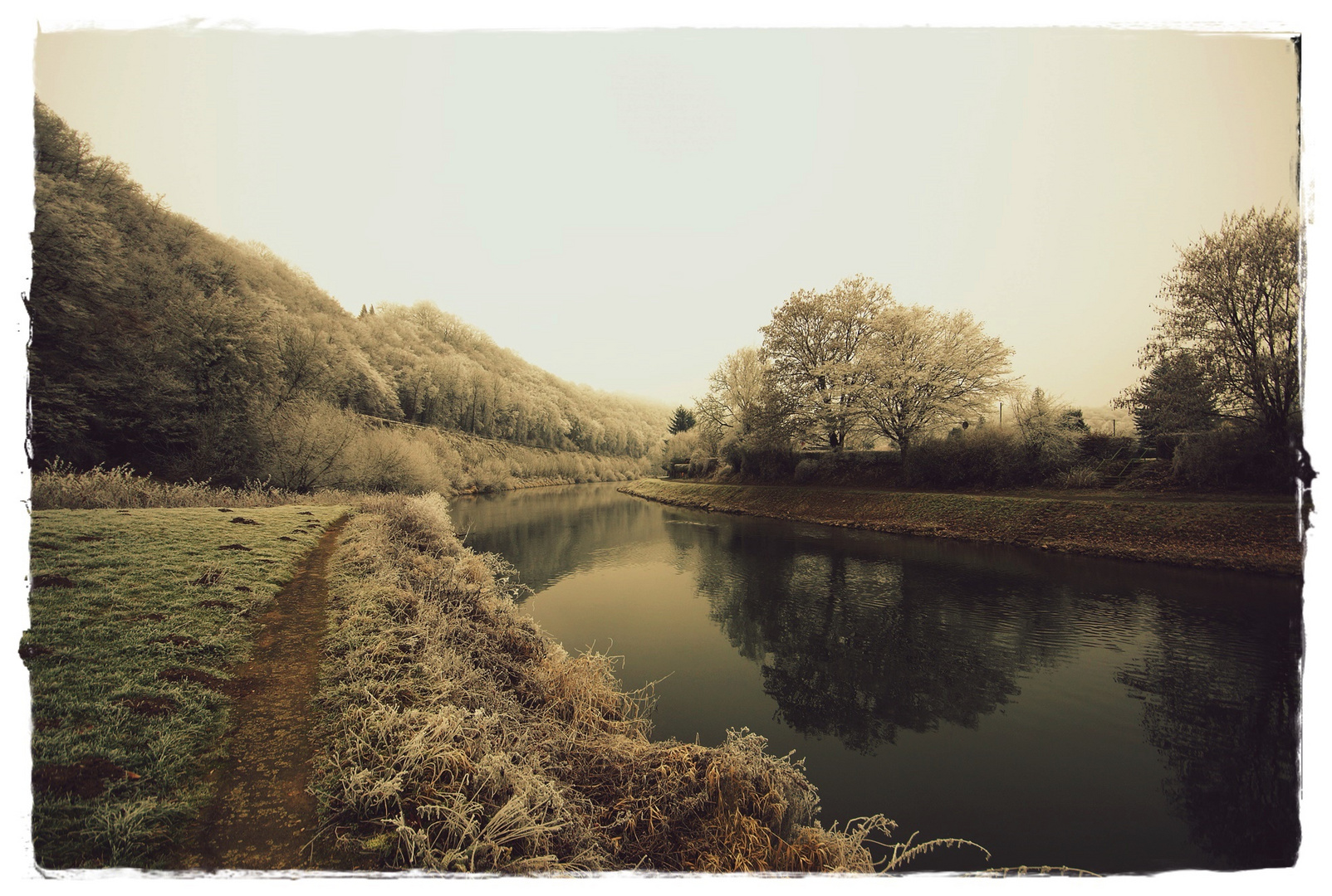 Raureif-Impression...farblich bearbeitet