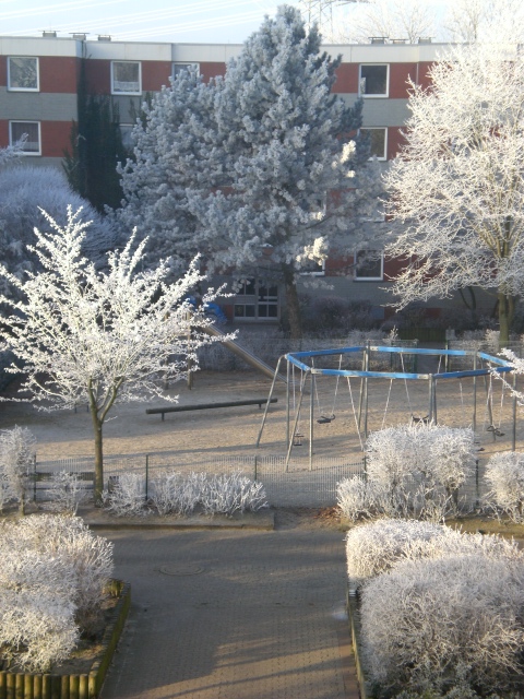 Raureif in den Bäumen auf dem Spielplatz