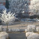 Raureif in den Bäumen auf dem Spielplatz