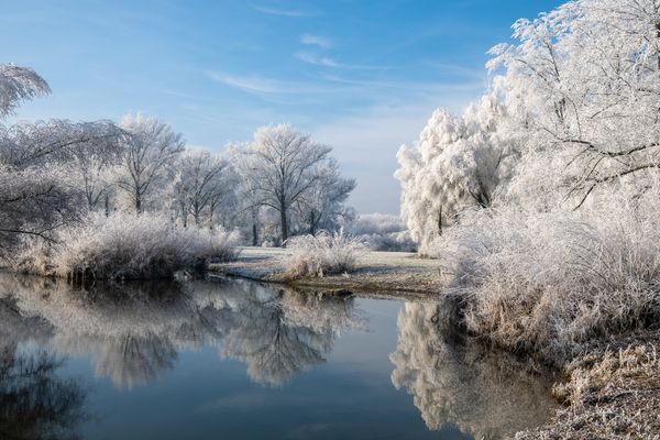 Raureif in den Isarauen