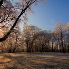 Raureif in der Frühe..