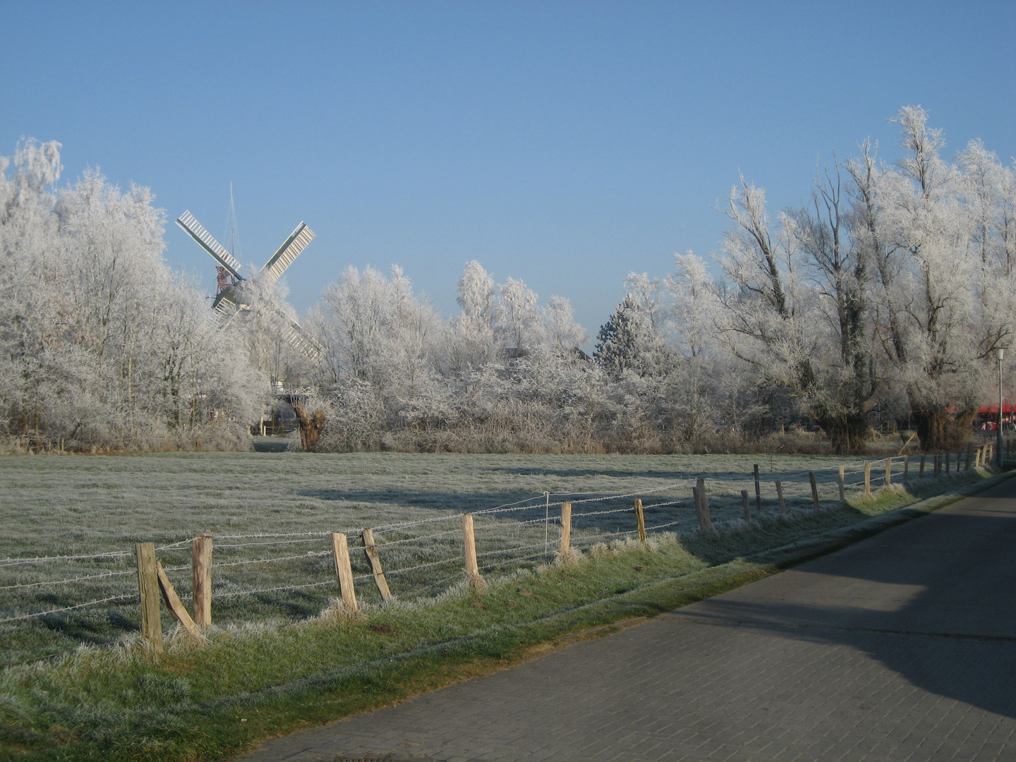 Raureif in Ostfriesland