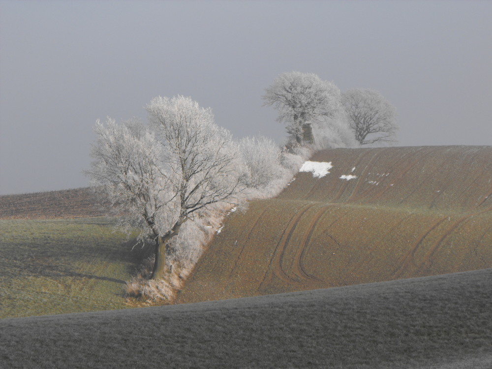 Raureif in Ostholstein