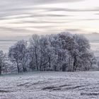 Raureif liegt über der Natur