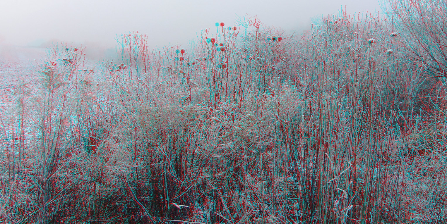 Raureif , Nebel, (3D-Foto)