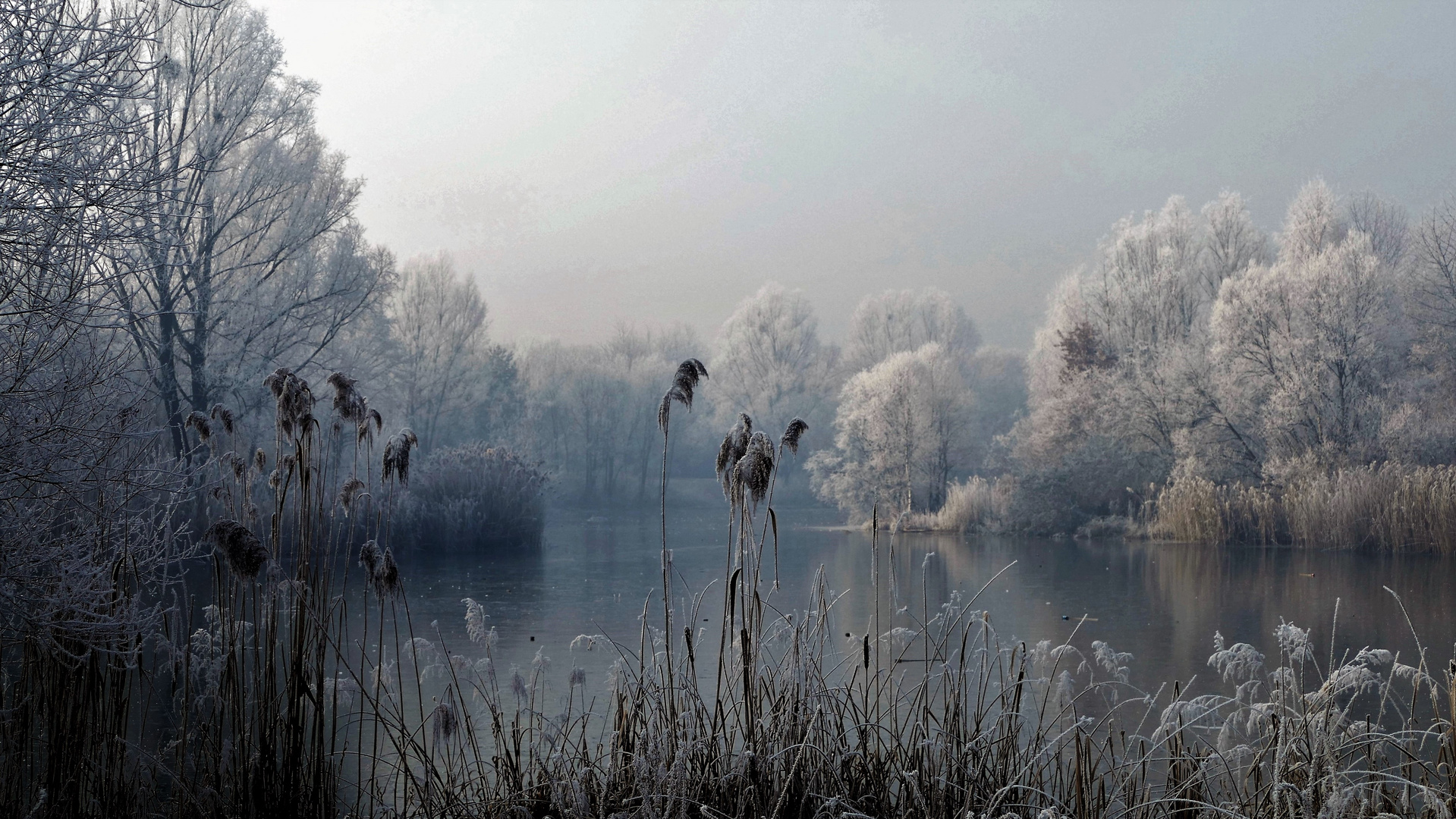 Raureif prägt die Landschaft am kleinen See.