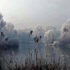 Raureif prägt die Landschaft am kleinen See.