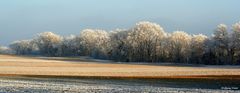 Raureif überzieht die Landschaft