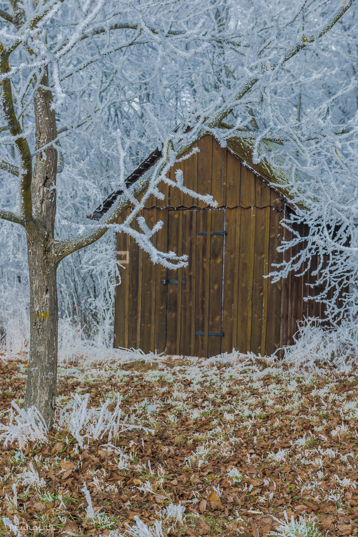 Raureif ums Gartenhaus