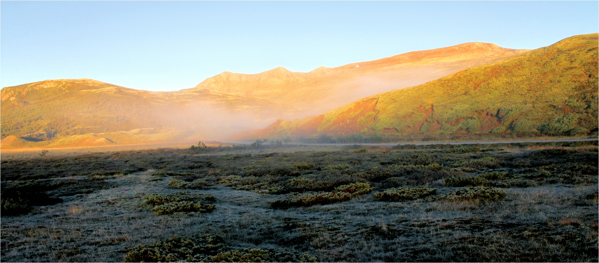 RAUREIF UND NEBEL