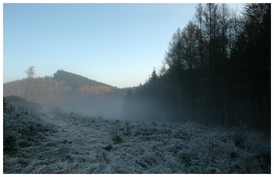 Raureif und Nebel