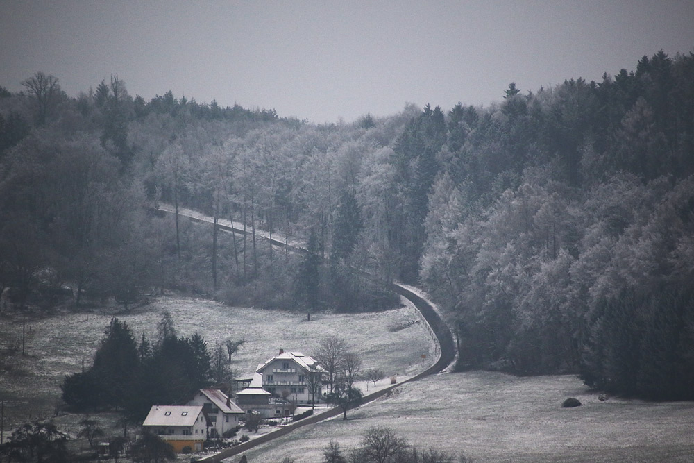 Raureif und Nebel