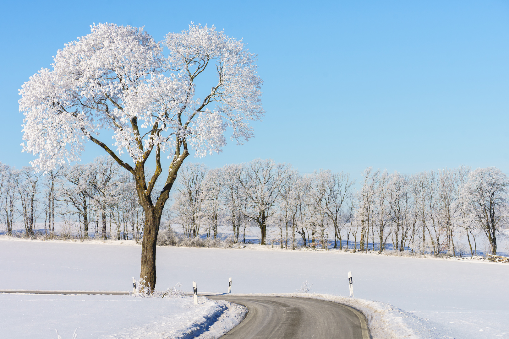 Raureif und Schnee im Vogtland II