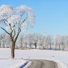 Raureif und Schnee im Vogtland II