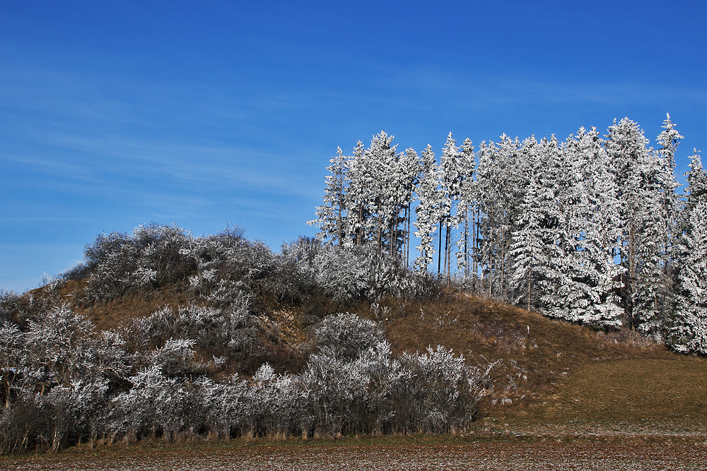 Raureif und schönes Winterwetter