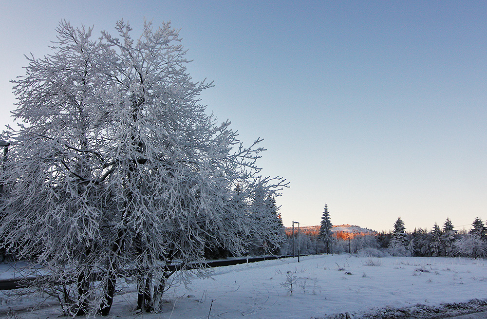 Raureif und Sonne am Kahleberg