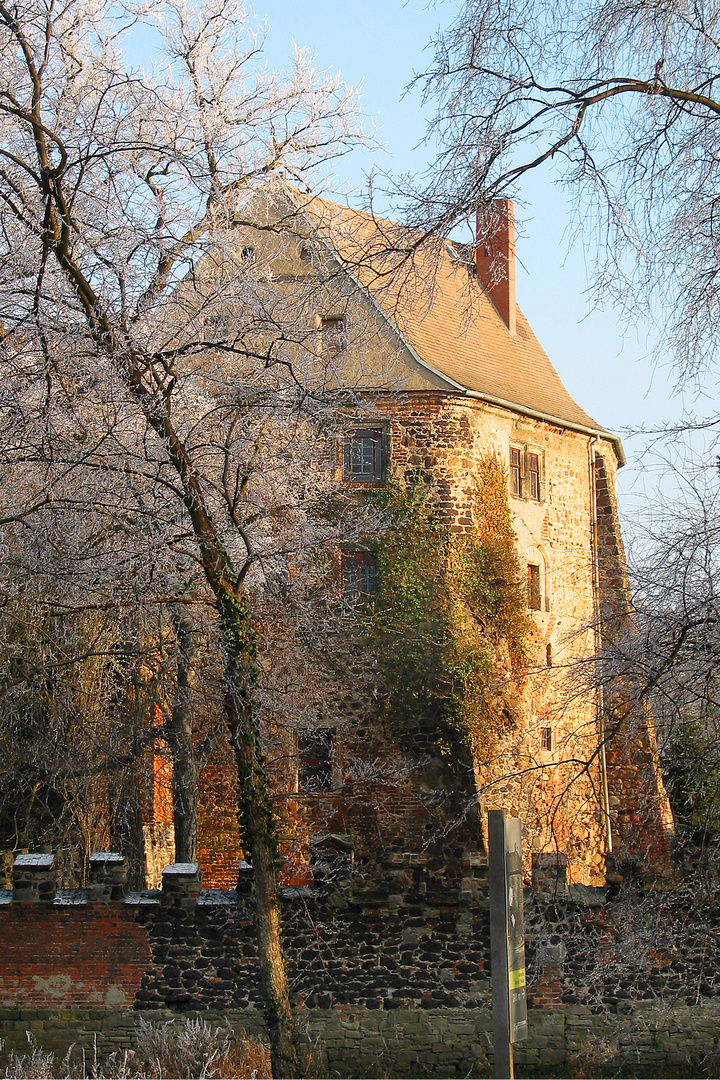 Raureif und Sonnenlicht Burg Rosslau