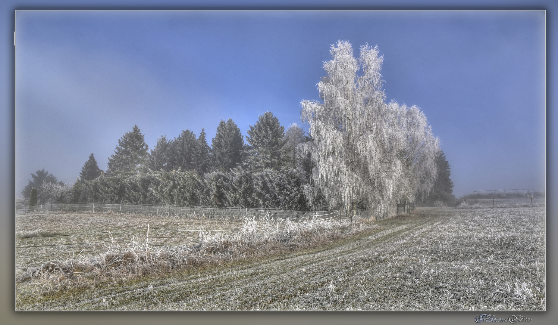 Raureif verzaubert die Landschaft 3