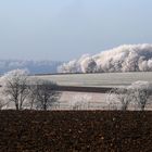 Raureif verzaubert die Landschaft