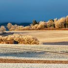 Raureif Winter auf den Schwarzwaldhöhen