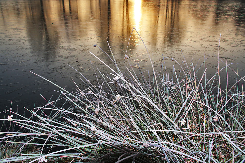 Raureifimpression bei Sonnenaufgang am Weiher