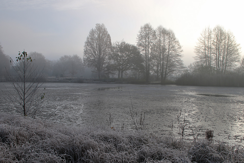 Raureifkälte am Morgen