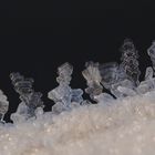 Raureifkristalle - nach einer Nacht mit -14°C - beim ersten Sonnenlicht II