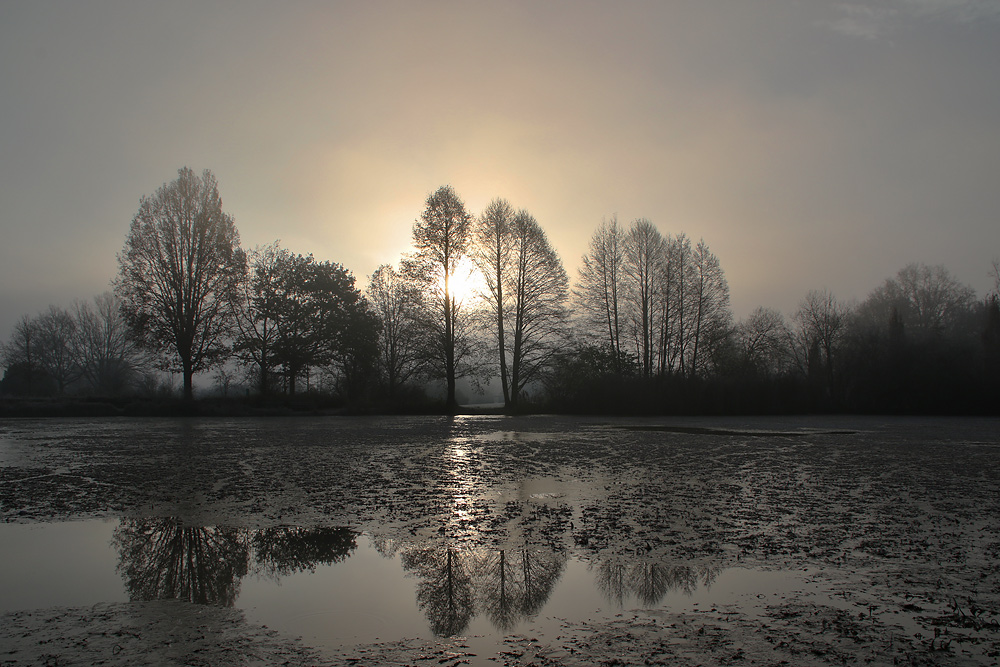 Raureifmorgen am Weiher