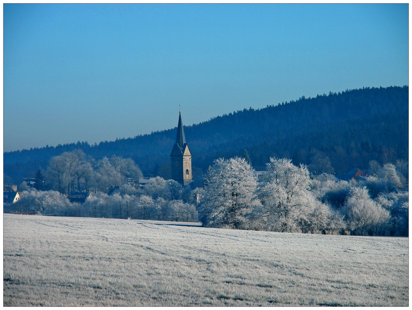 Raureifmorgen bei Zell im Fichtelgebirge