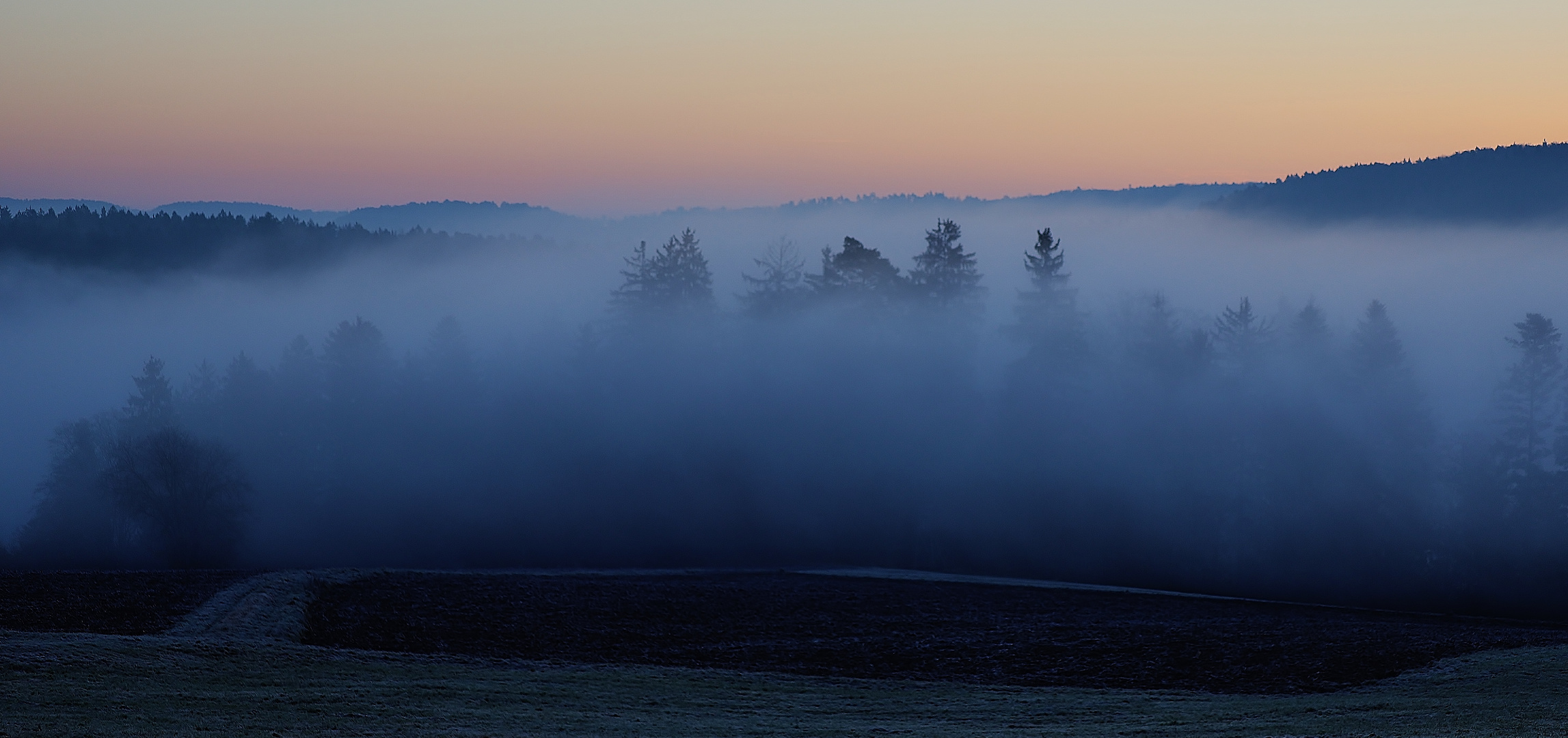 Raureifmorgen mit Nebel...