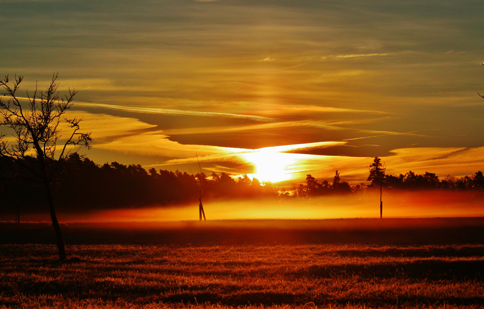 Raureifmorgen mit Nebel im Advent...