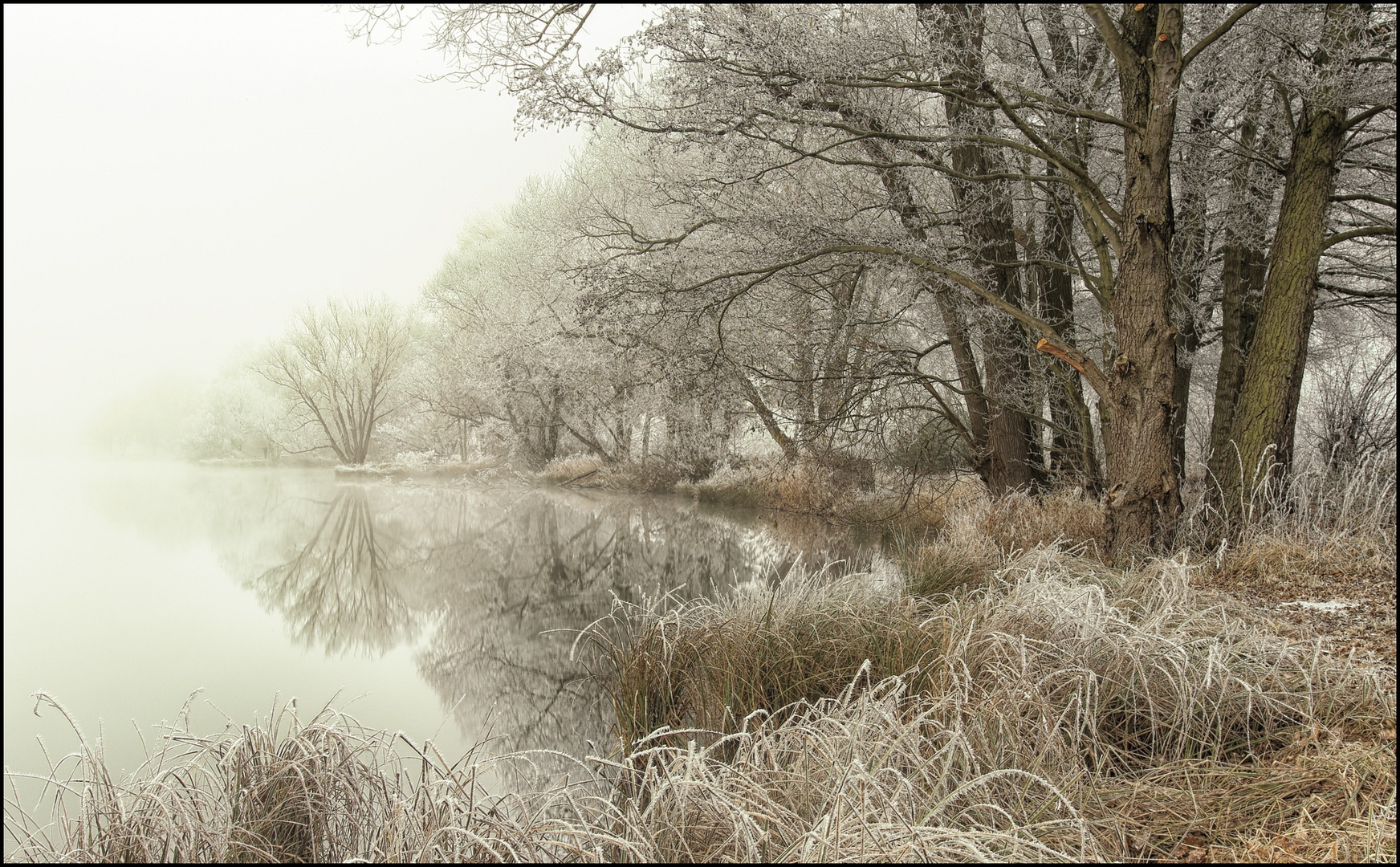 Raureifnebel