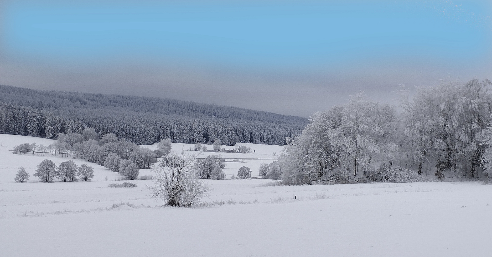 Raureiftage im Januar