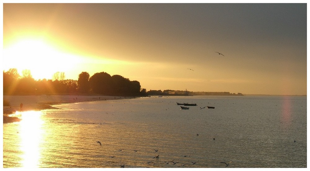 raus - an den Strand !