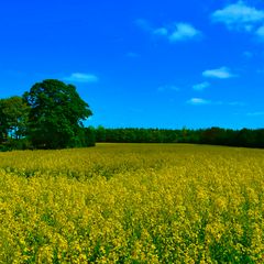 raus auf's Land