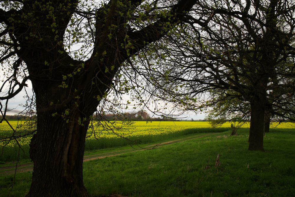 Raus- aufs -Land- Bild