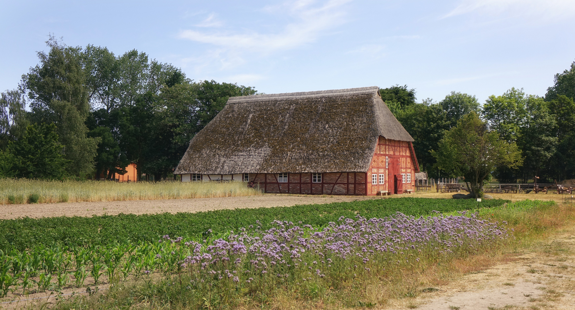 ... raus auf´s Land .... II