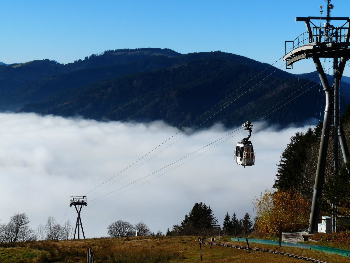 raus aus dem nebel