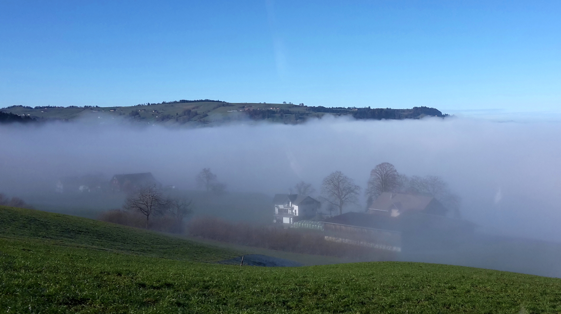 Raus aus dem Nebel