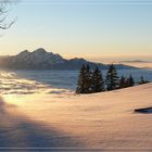 Raus aus dem Nebel - rauf auf den Berg!