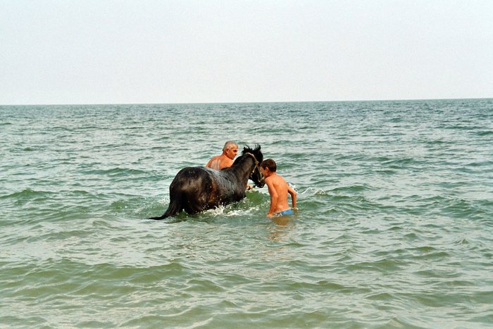 Raus aus der prallen Sonne - rein ins schwarze Meer