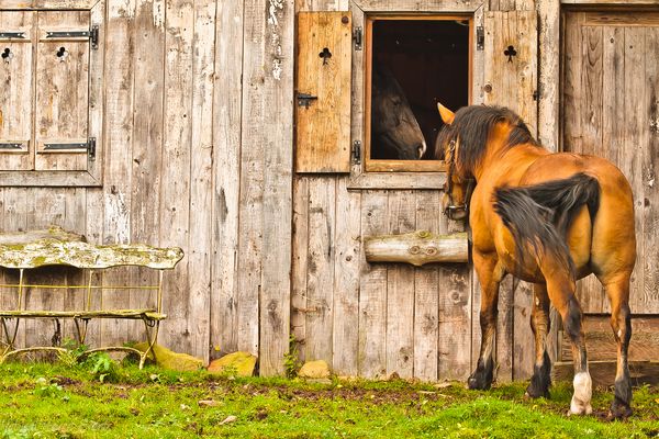 Raus aus meiner .....