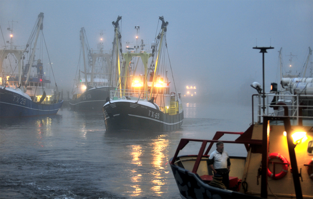 Raus in den "Mist" !