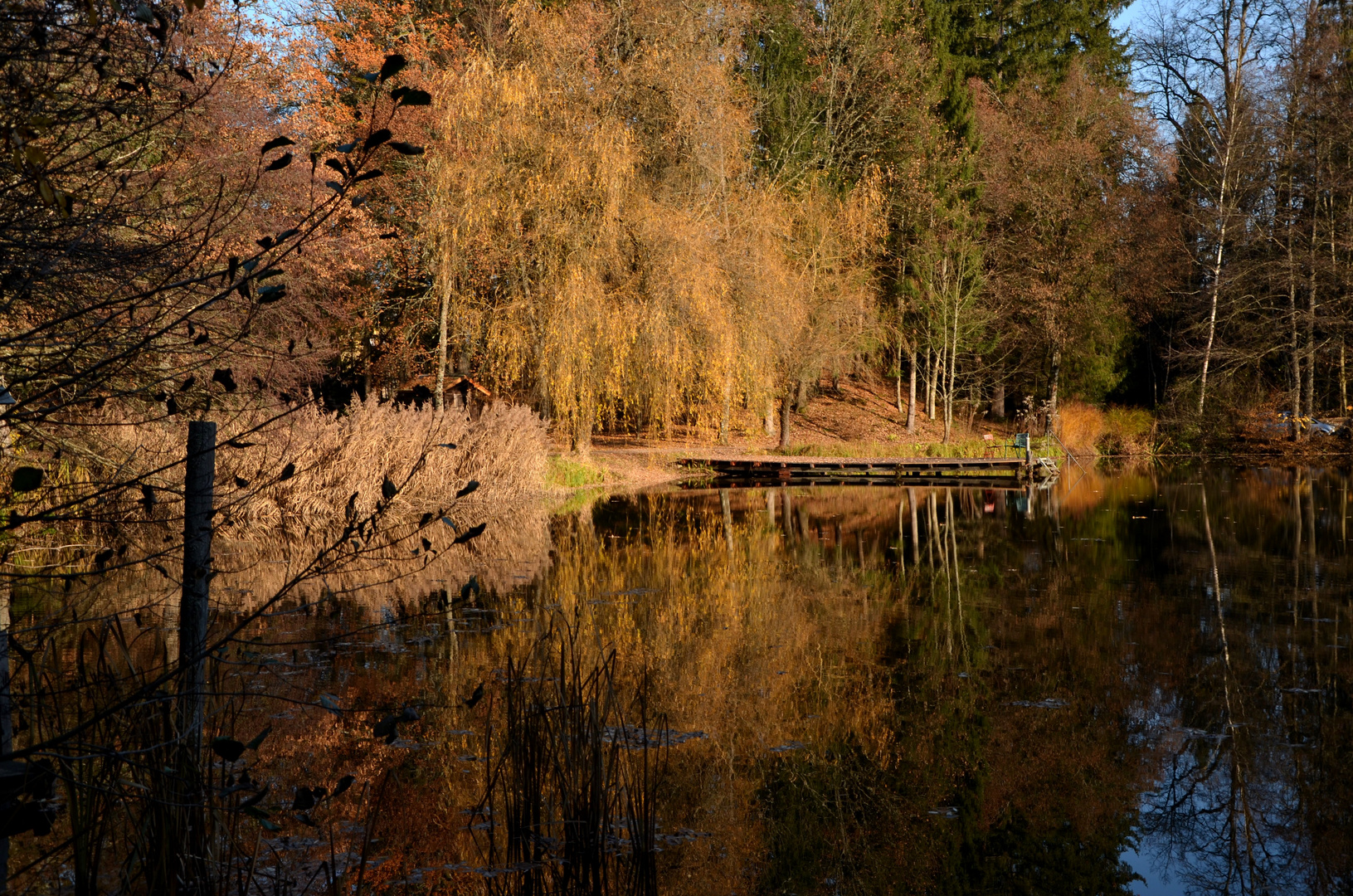 raus in die Natur.....